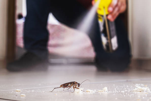 Best Pest Prevention Services  in Cleveland Heights, OH
