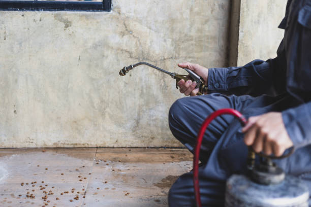 Best Affordable Pest Control Services  in Cleveland Heights, OH